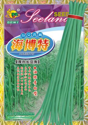 海博特 厚肉長(zhǎng)豆角 2-03.jpg